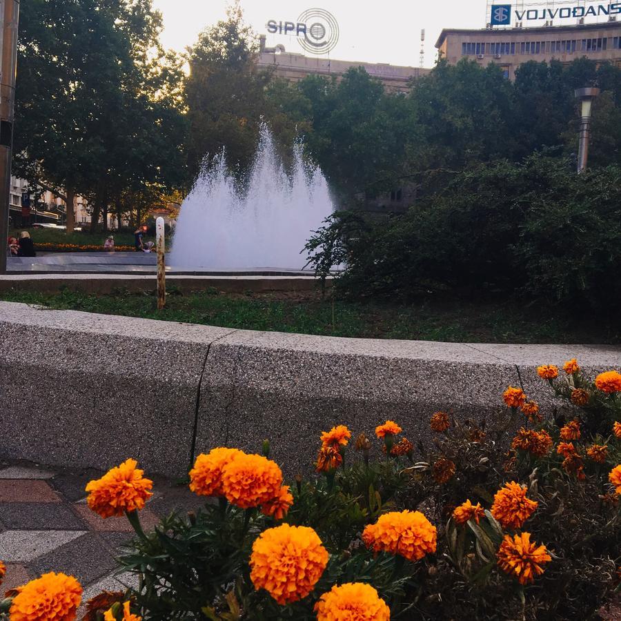 Sunrise Apartment Beograd Bagian luar foto